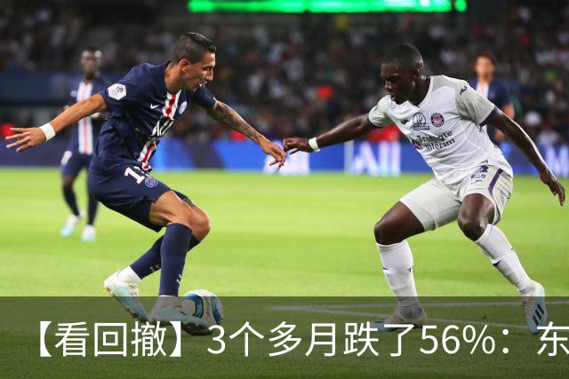 【看回撤】3个多月跌了56%：东方阿尔法基金百万持有人何去何从？